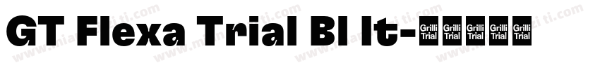GT Flexa Trial Bl It字体转换